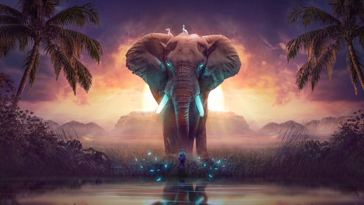 The Elephant Dream