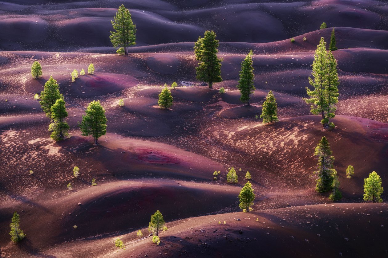 Mars Dream