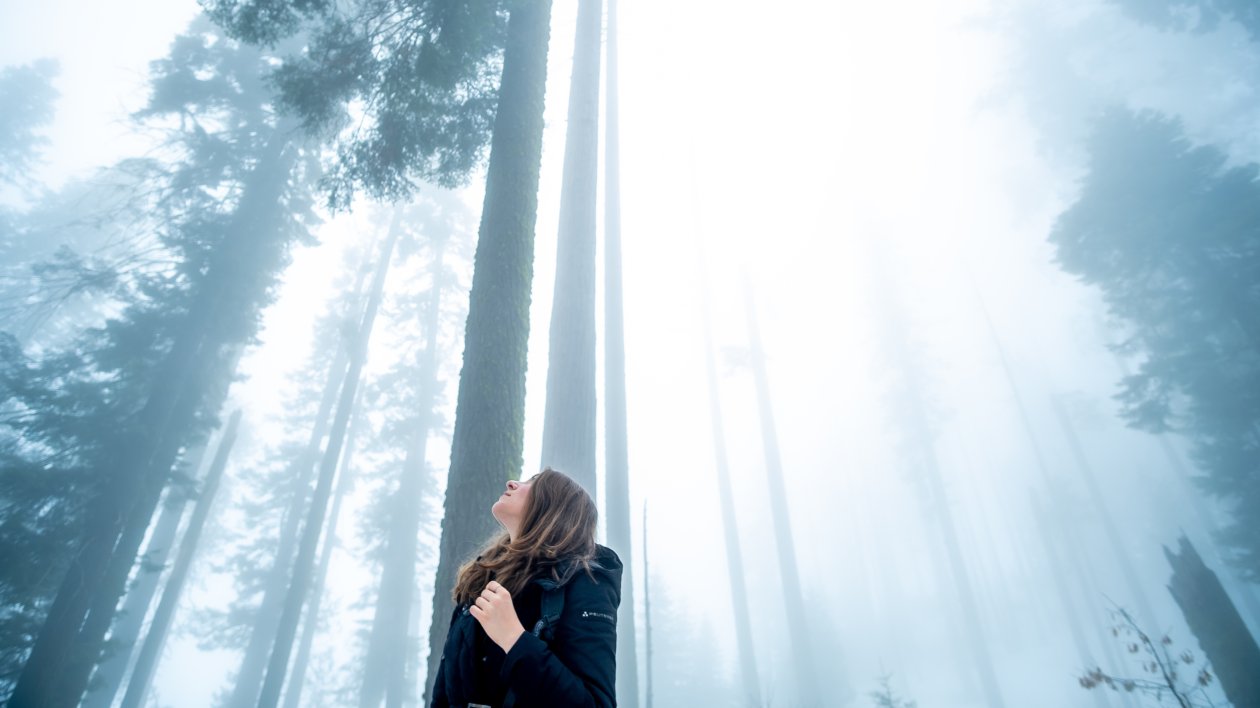 Girl Looking Towards The Tips Of Trees