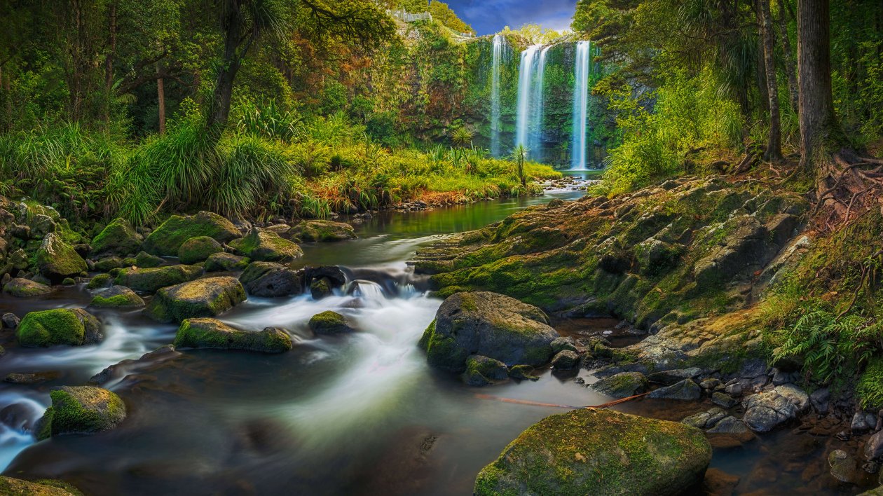 A Waterfall Flowing Through A Subtropical Forest 8k