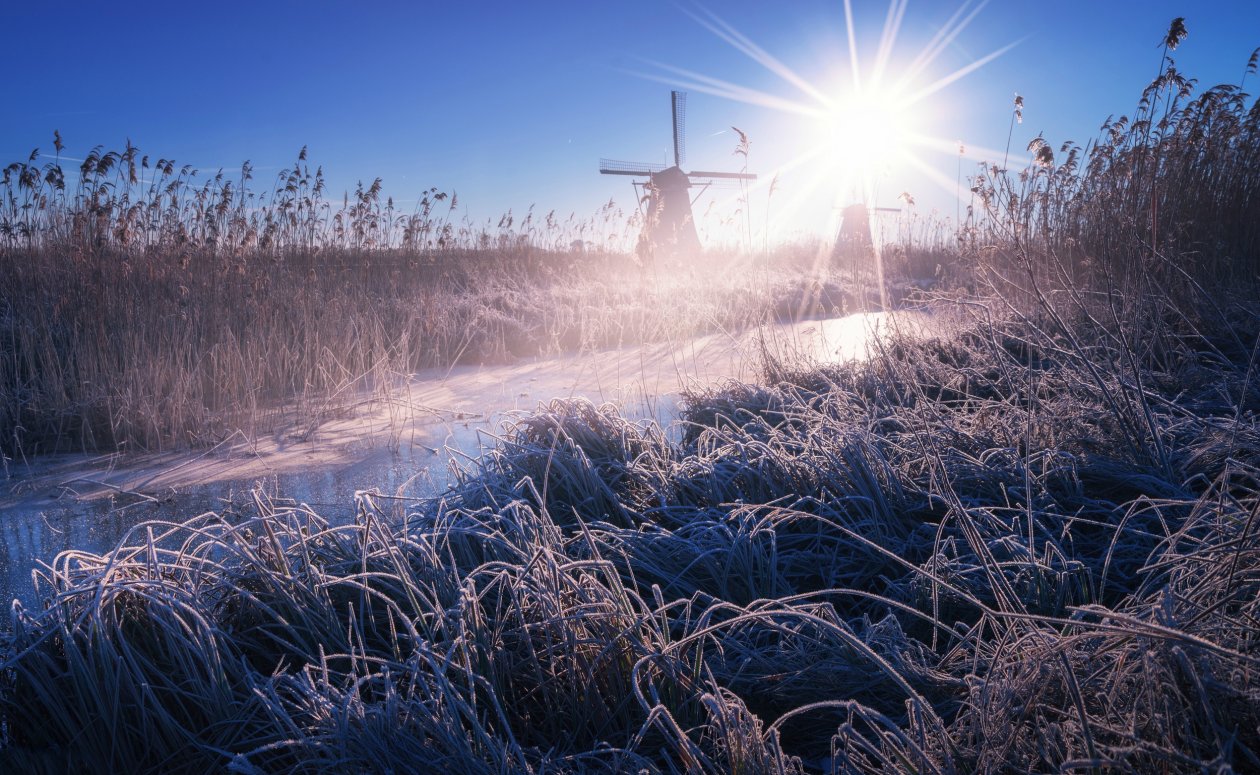 Windmill HD
