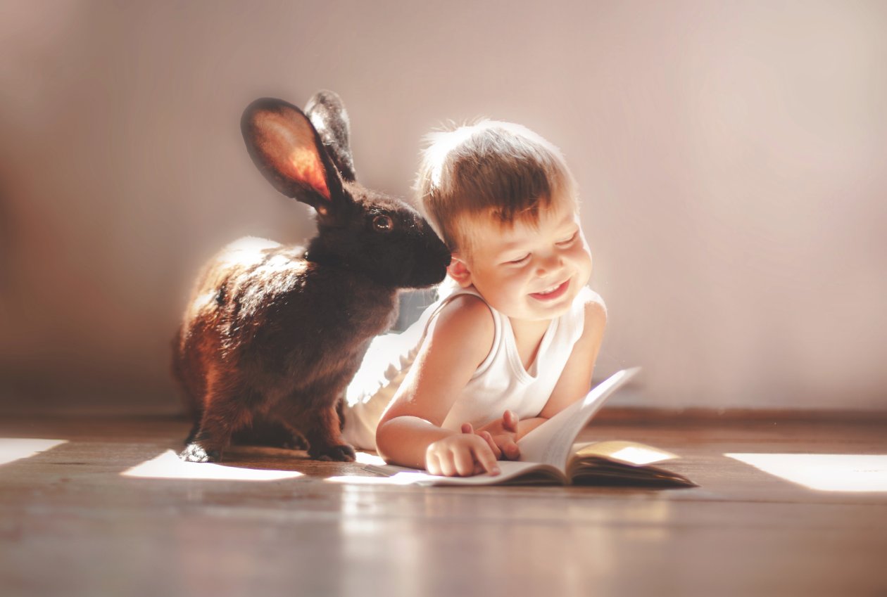 Rabbit And Children Cute