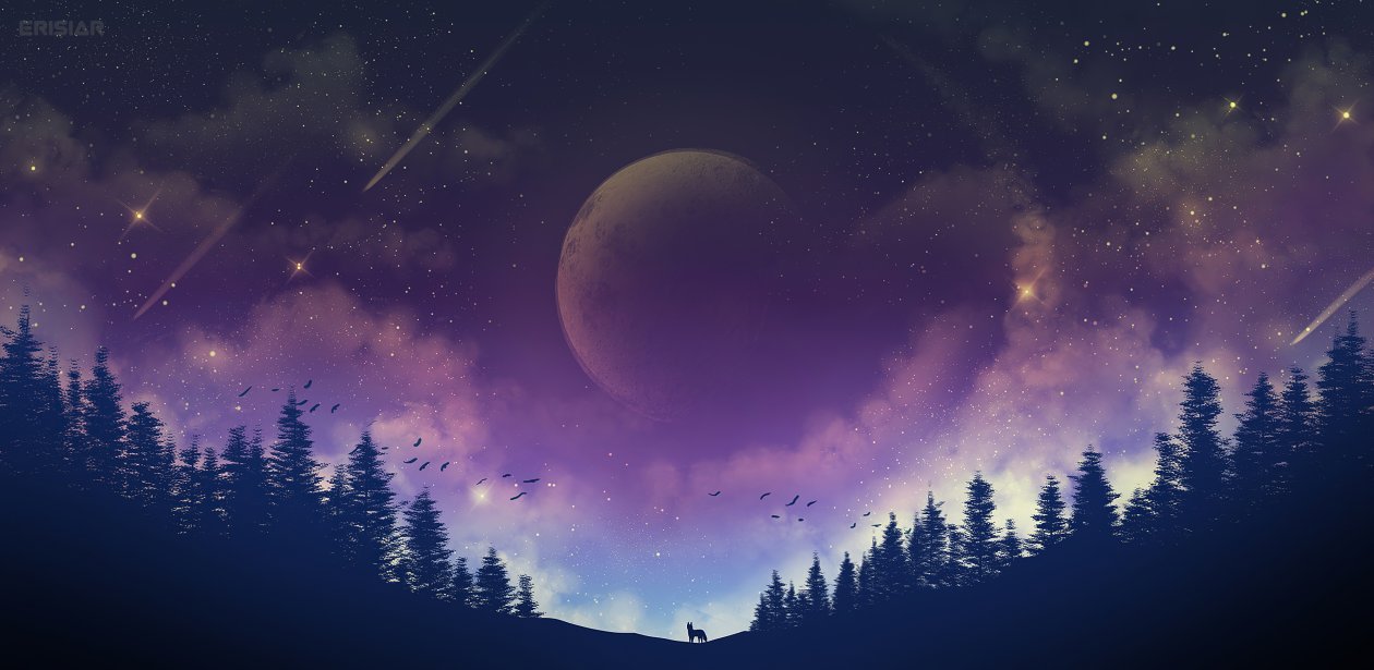 Moon Fox Galaxy 4k