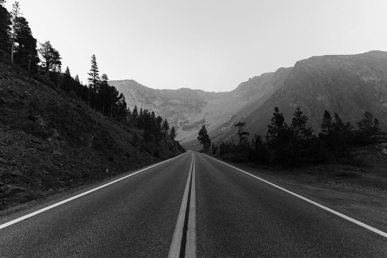 Monochrome Road Trees Landscape 5k