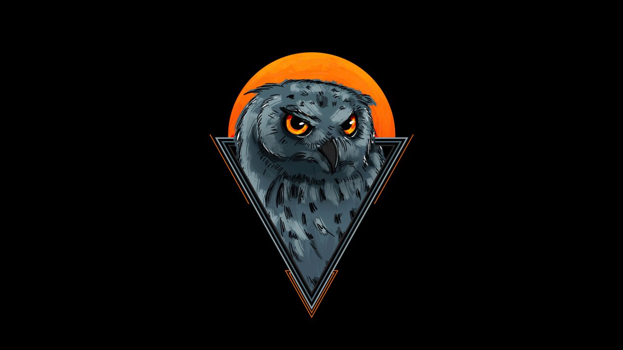 Owl Minimal 4k