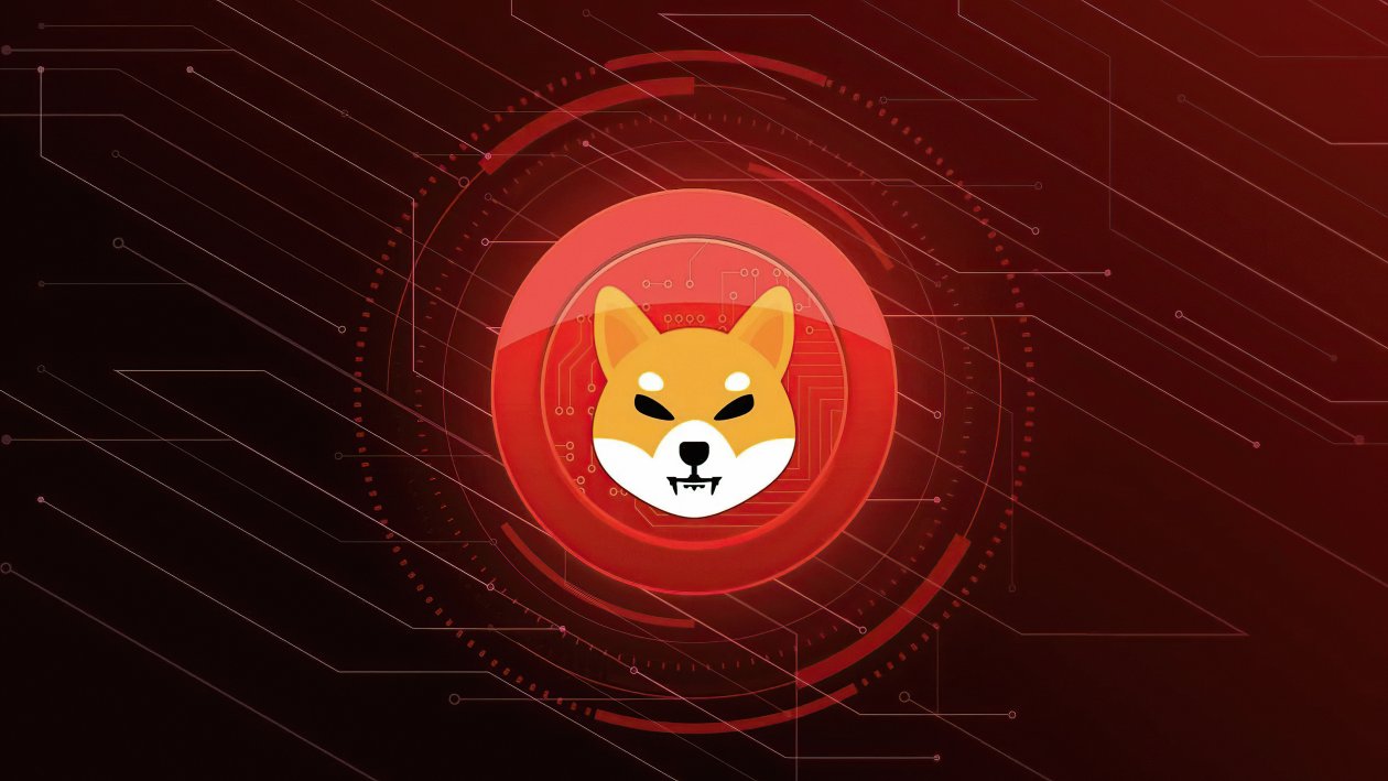 Shiba Inu 4k