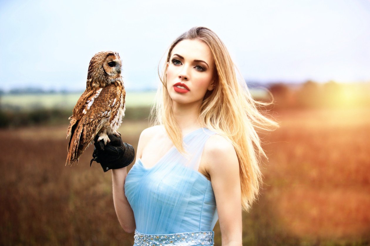 Girl With Owl HD