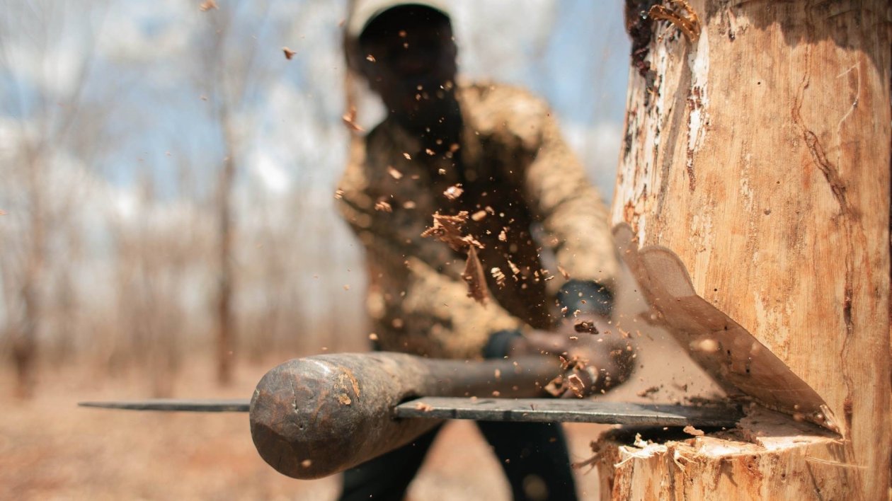 Chopping Trees With Axe