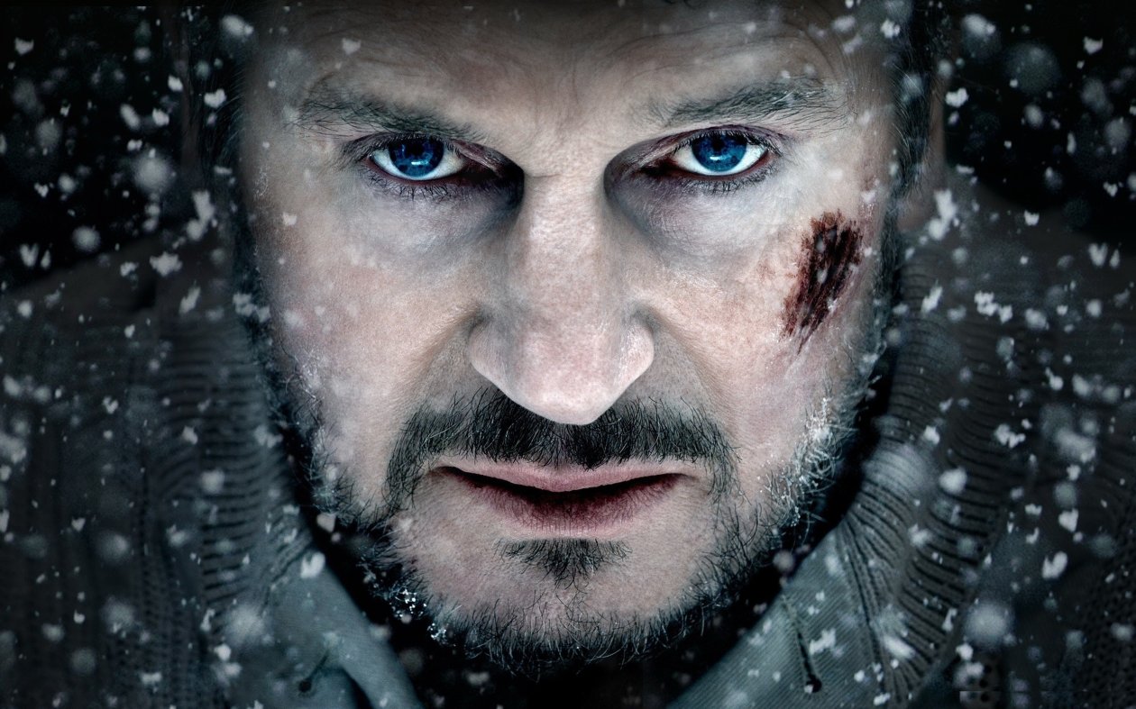 The Grey 2012