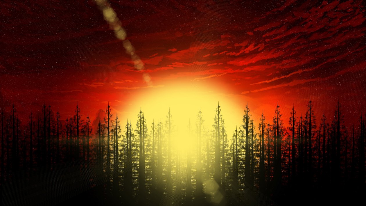 Forest Trees Abstract