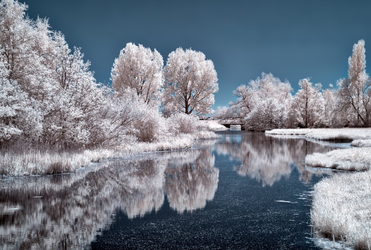 Ice Lake Frozen Trees 4k