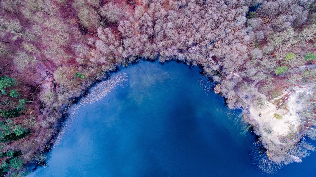 Nature Background Color Lake Forest Colorful