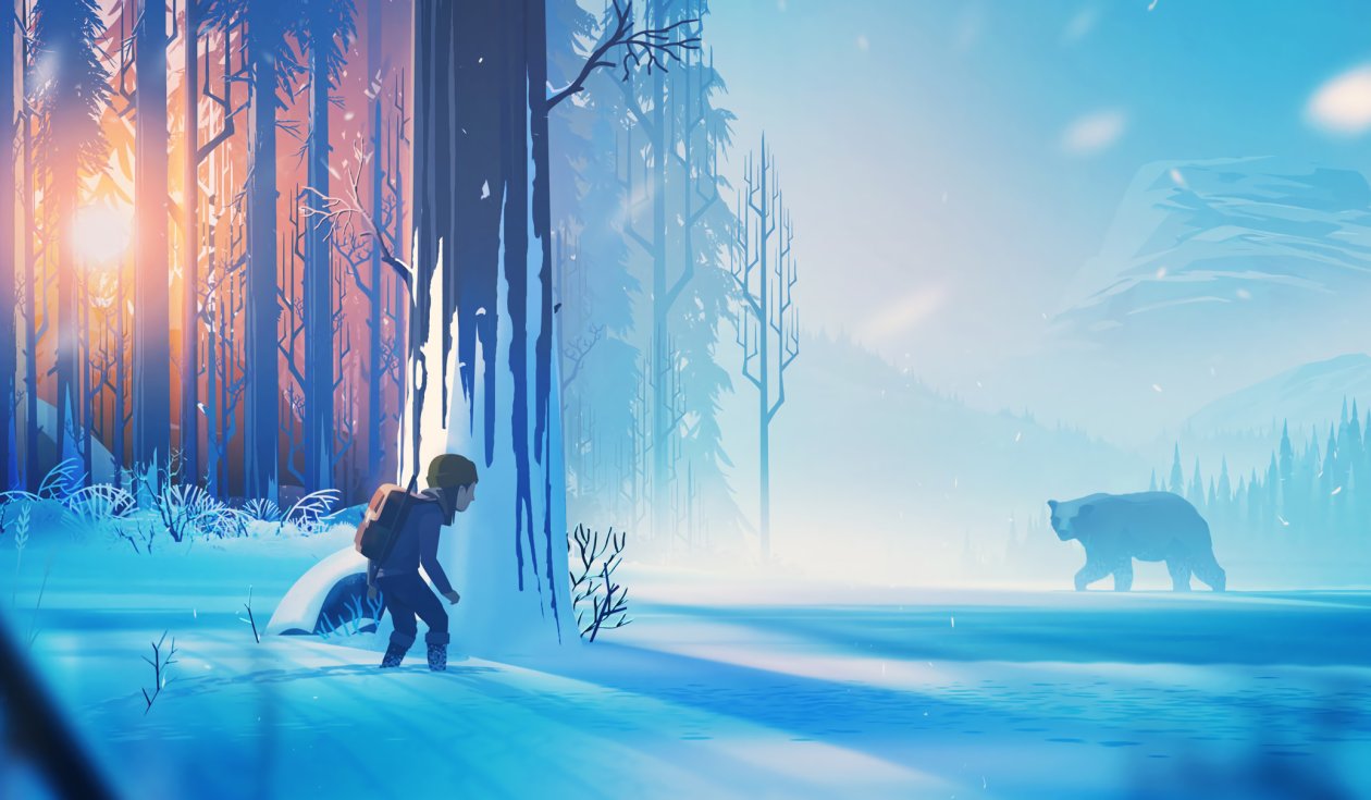 The Girl And The Bear