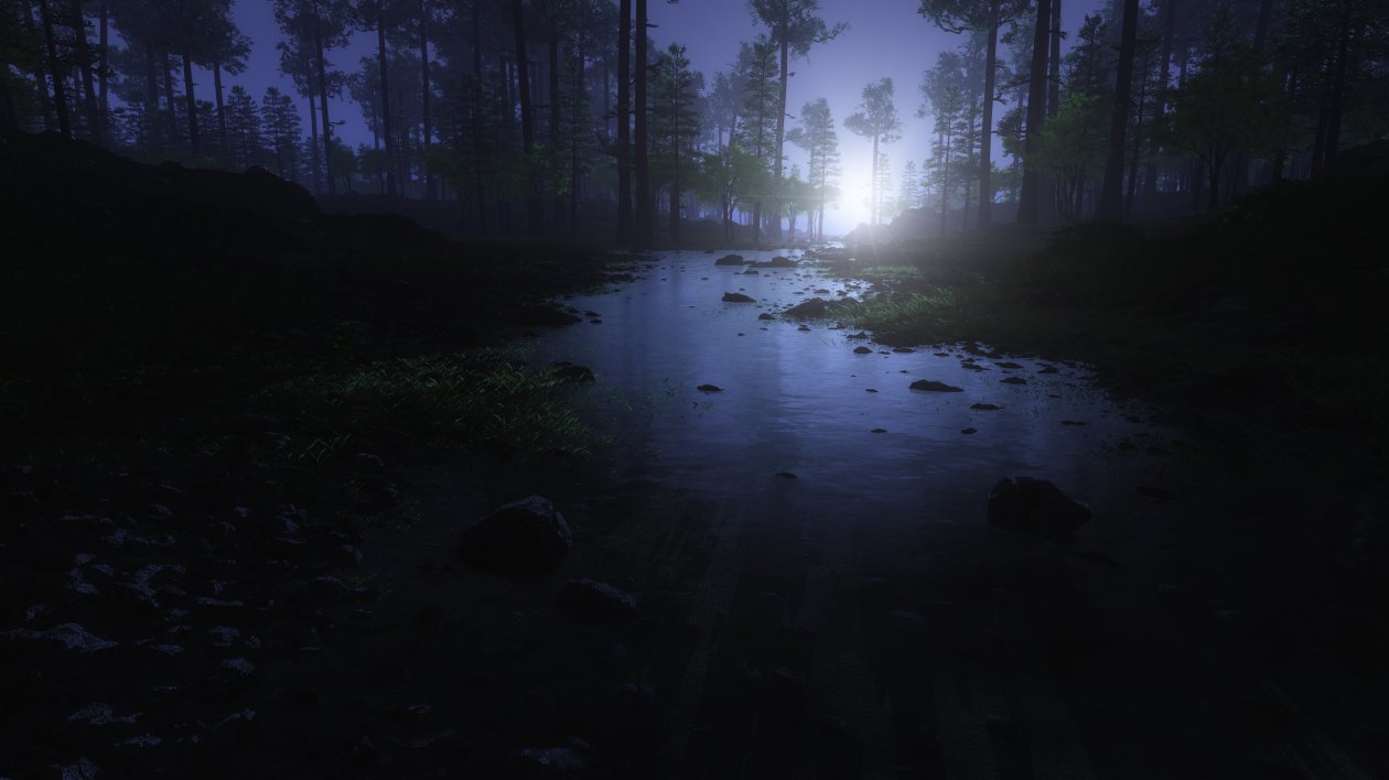 Water Stream Night Forest 4k