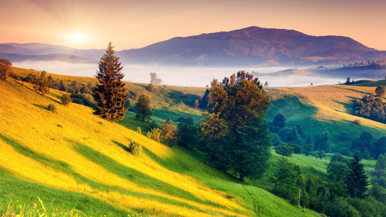 Landscape Beautiful 4k