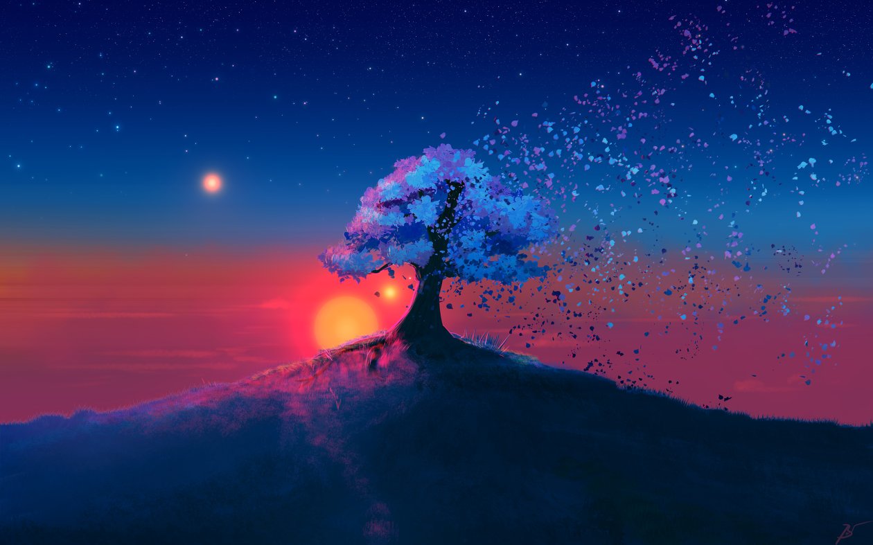 Alone Tree Sunset