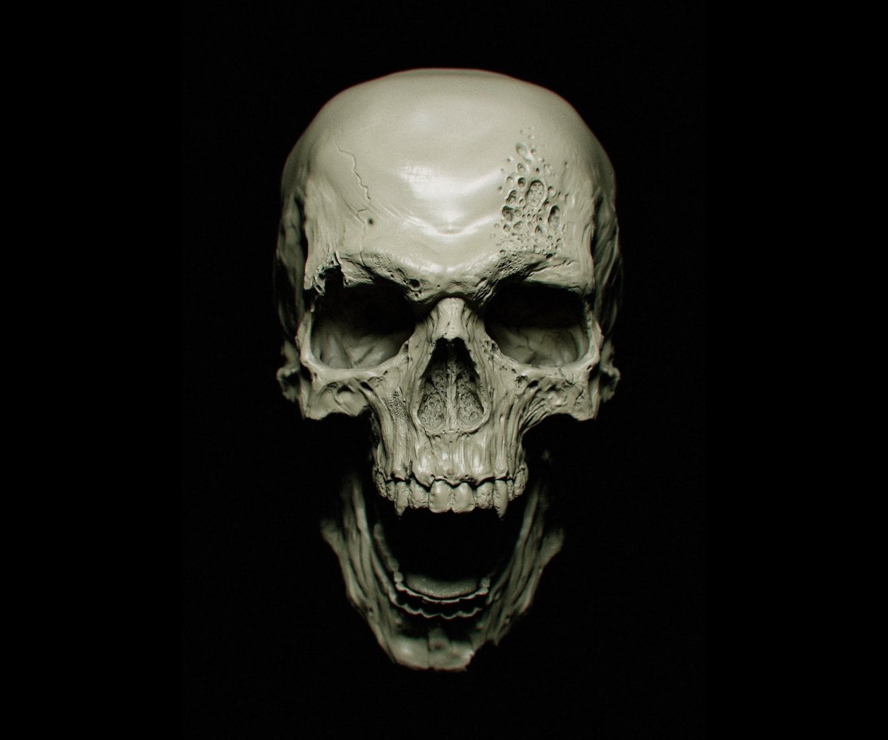 Skull