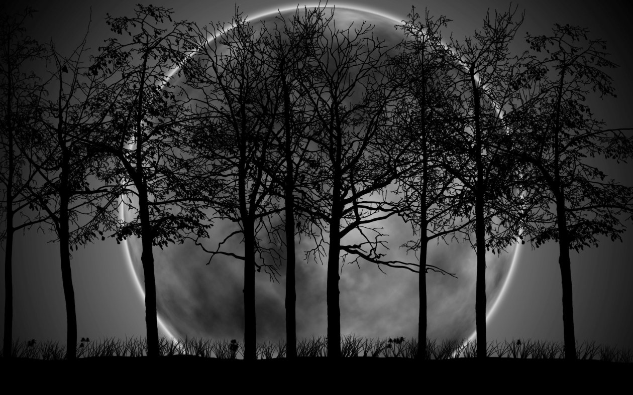 Moon Night Art