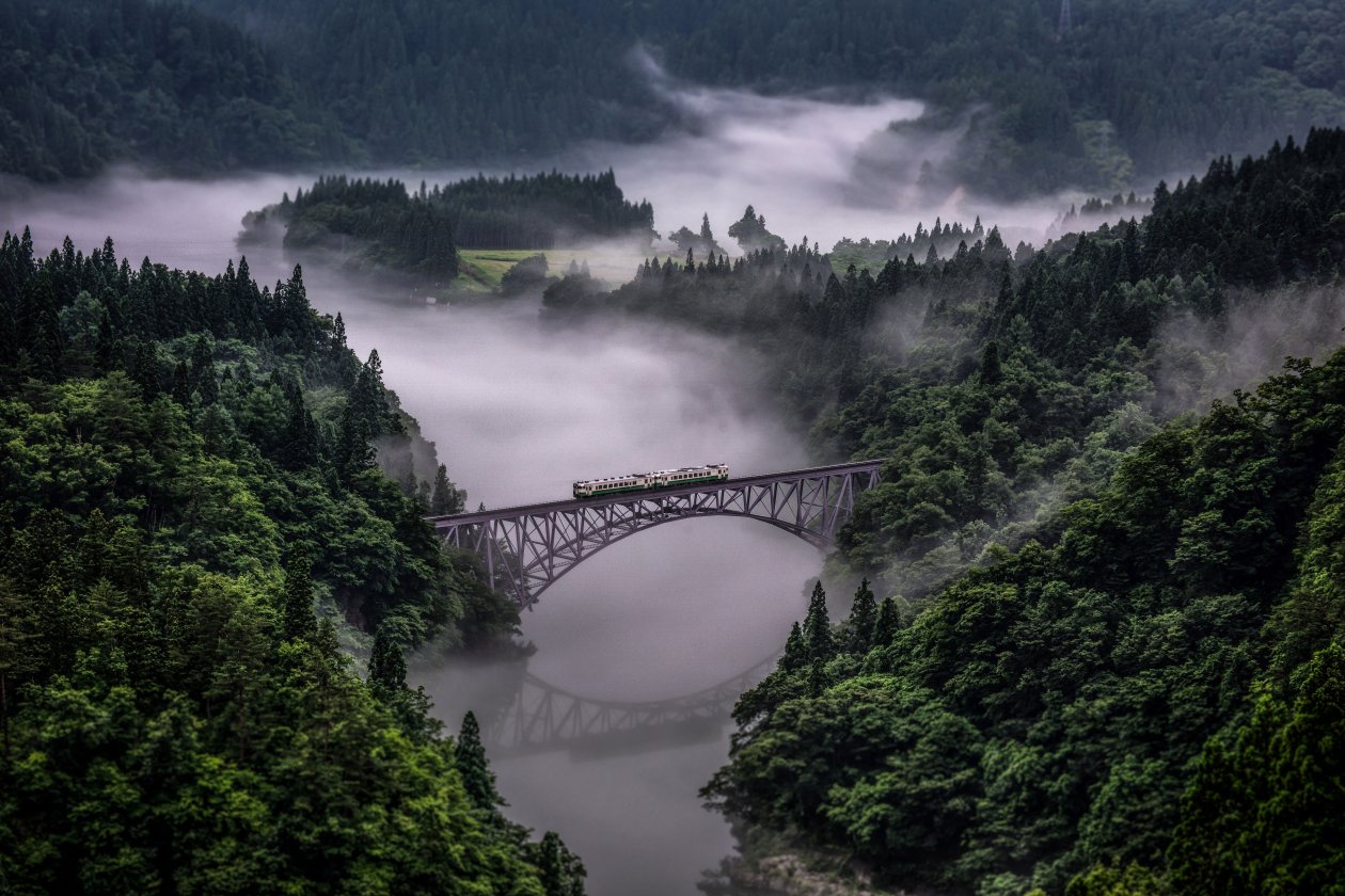 Train Going Over Bridge Surrounded By Trees And River