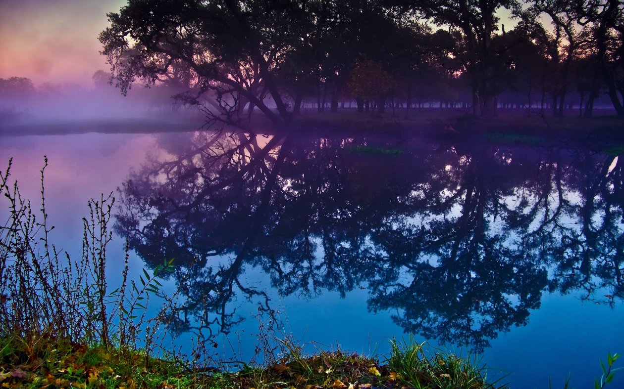 Lagoon Sebastopol