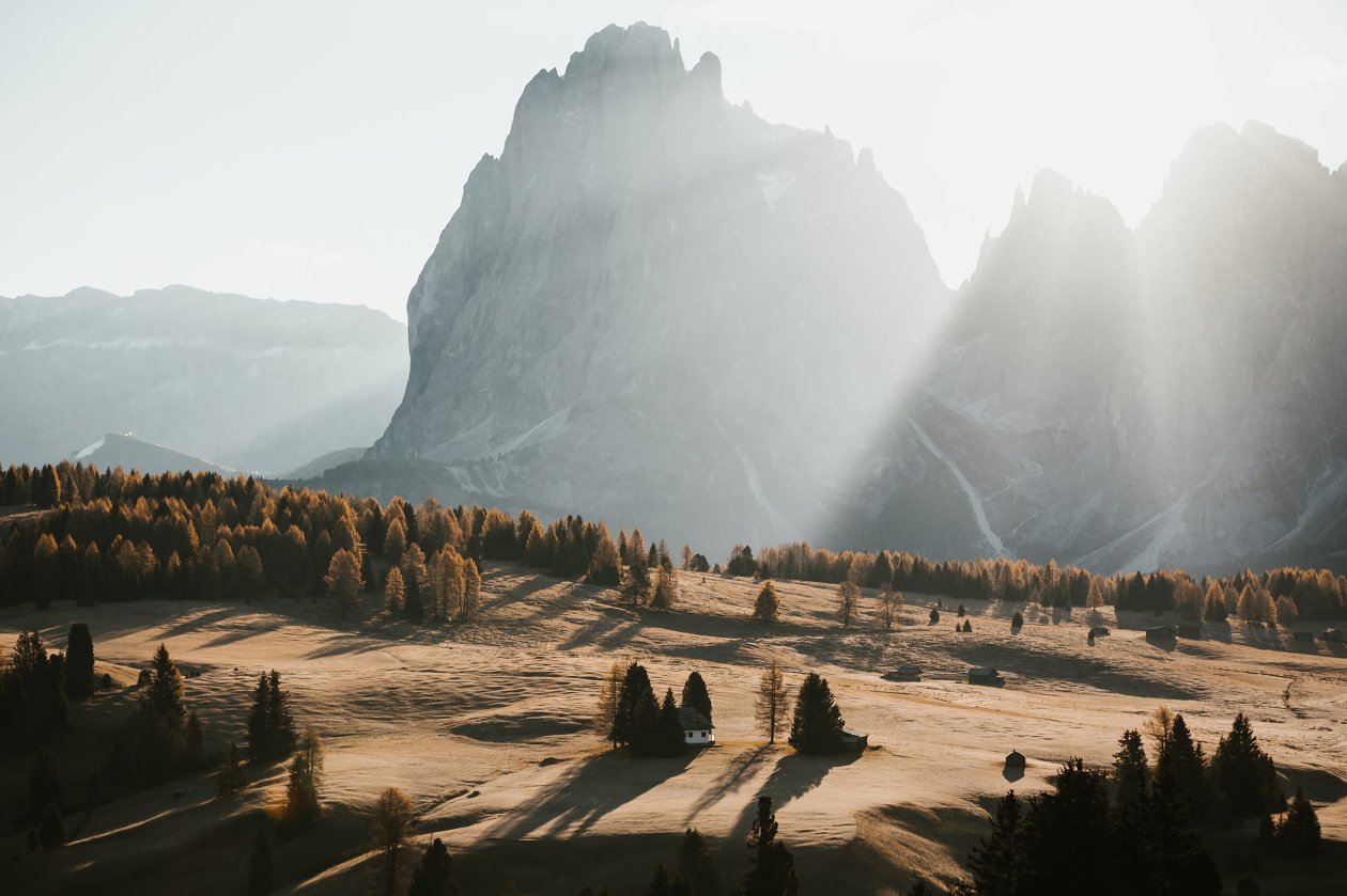 Landscape Trees Nature Sunlight