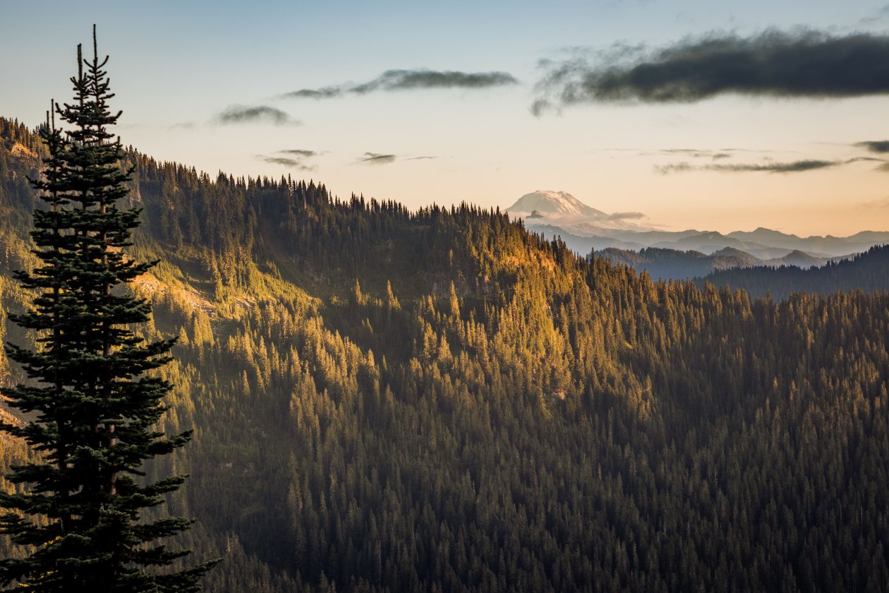 Mt Adams View From The Distance