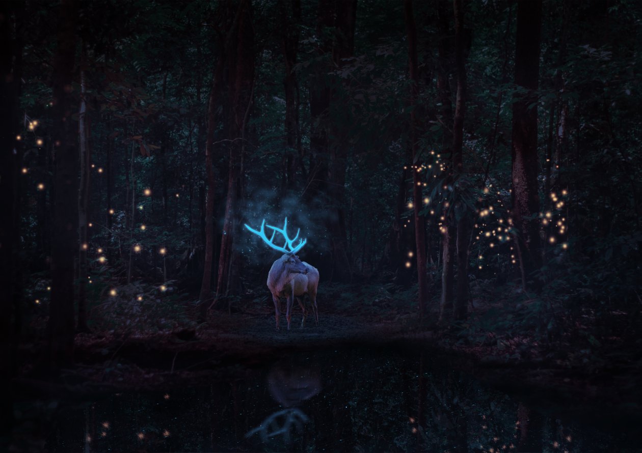 Magical Reindeer In Forest