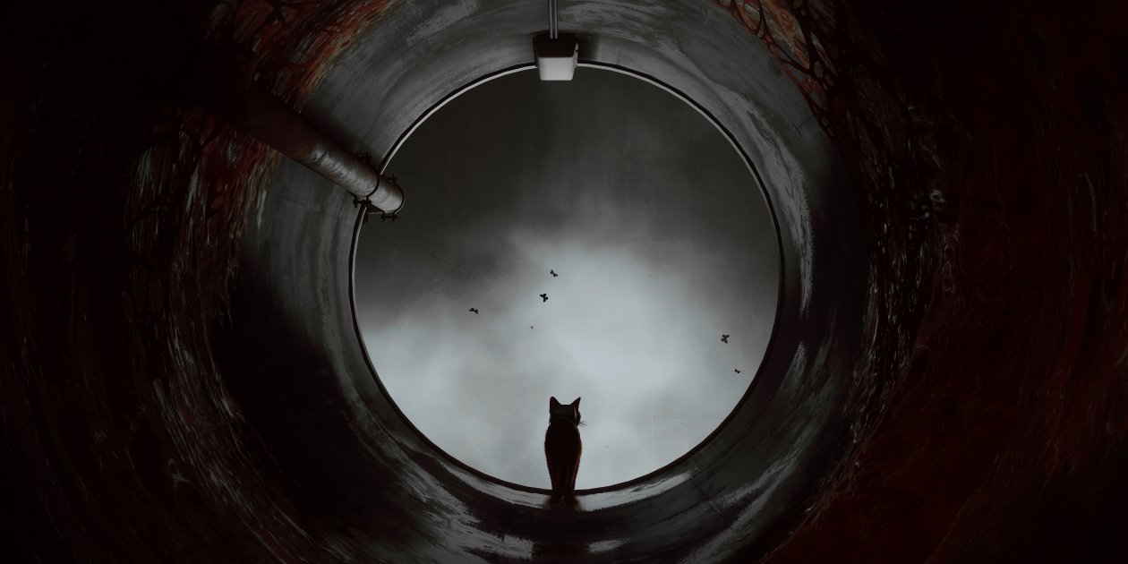 Stray Game