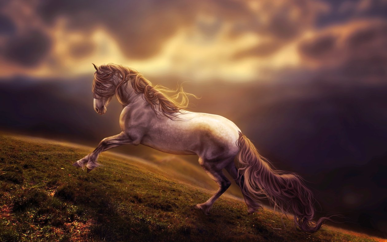 Amazing Horse Art