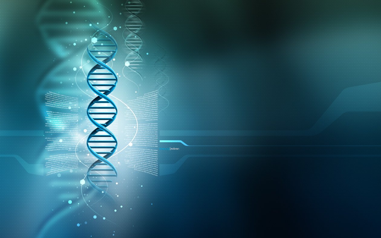 Human Dna 3d