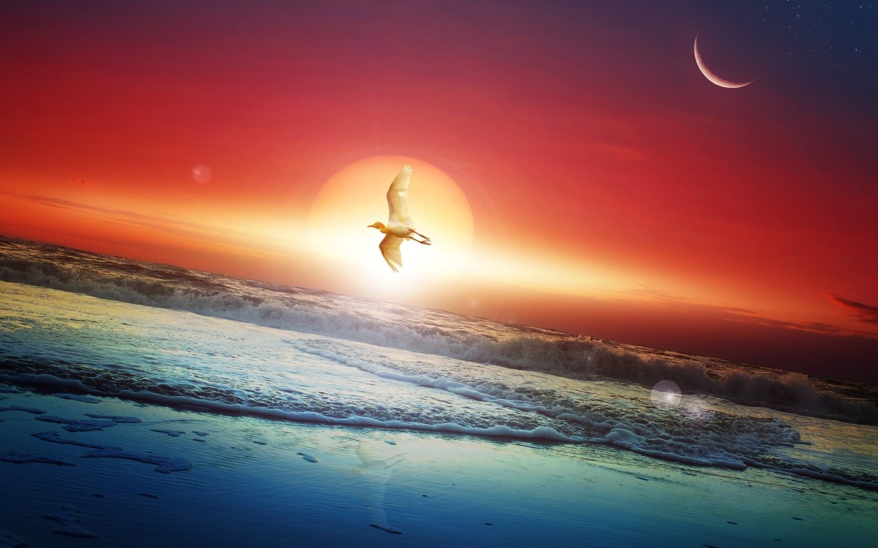 Moon Sun Art