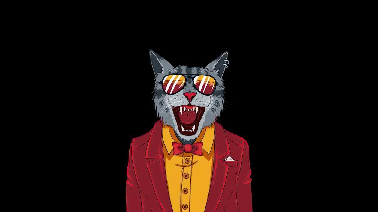 Cool Cat Minimal 4k
