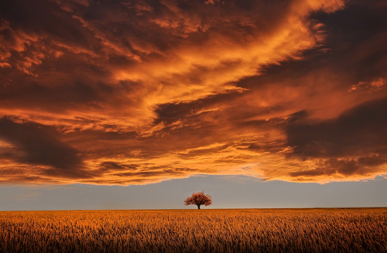 Breathtaking Landscape