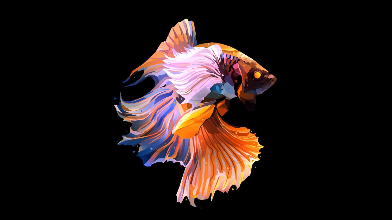 Fish Oled Dark