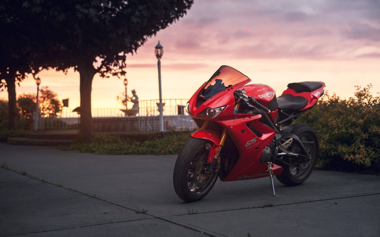 Triump 675cc Daytona Cool