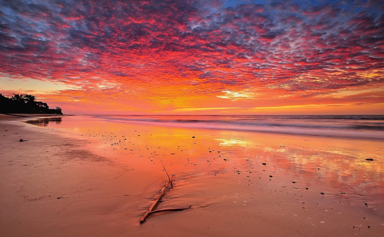 Landscape Beach Tropical