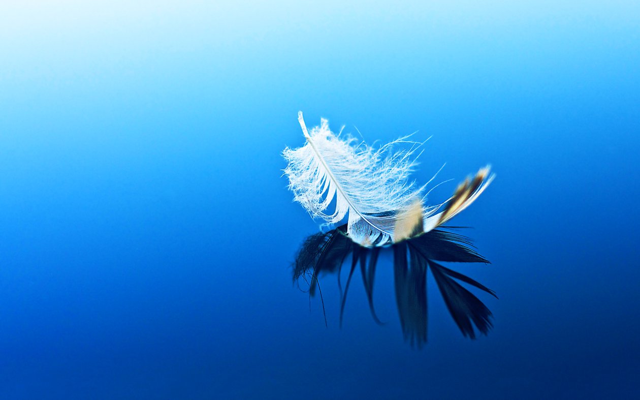 Fether Floating