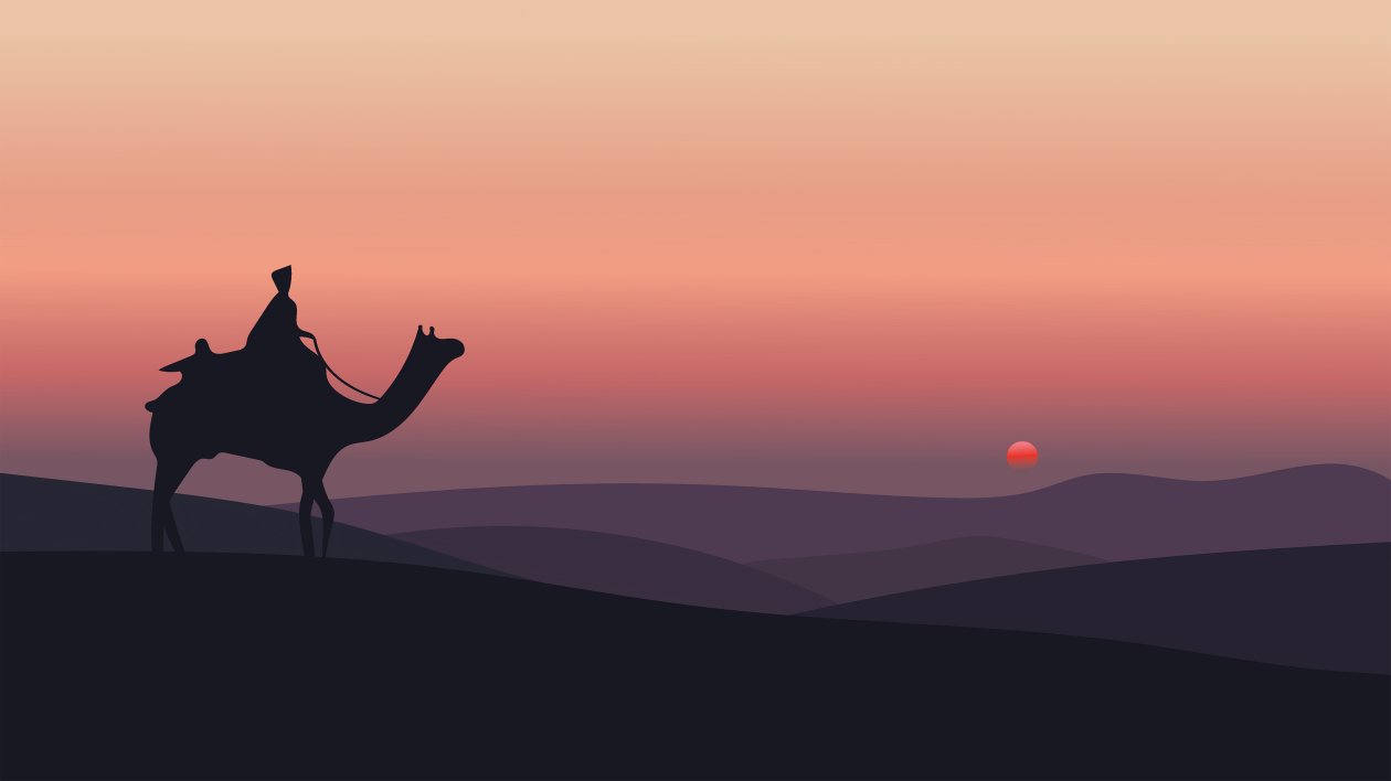 Camel Sahara Desert Minimal 5k