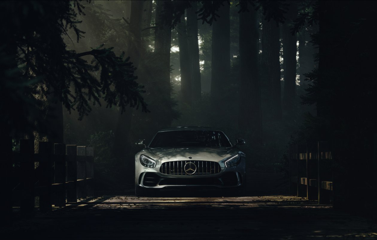 Mercedes Benz Amg GT Forest