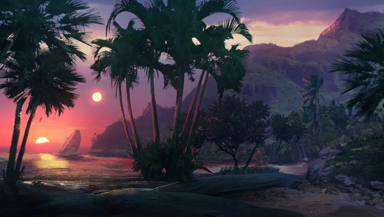 Palm Tree 4k