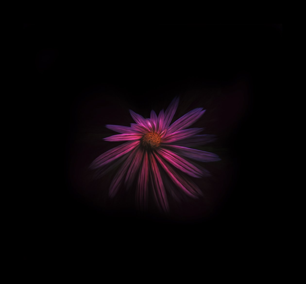 Flower Dark Background 4k