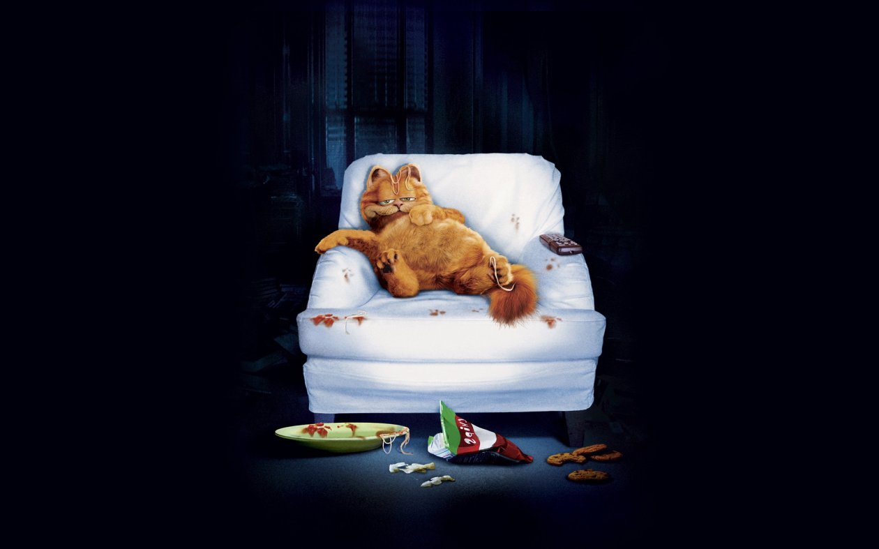 Garfield Cat