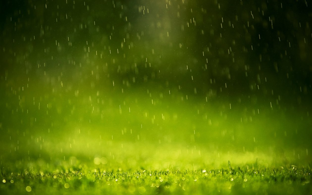 Beautiful Rain Drops