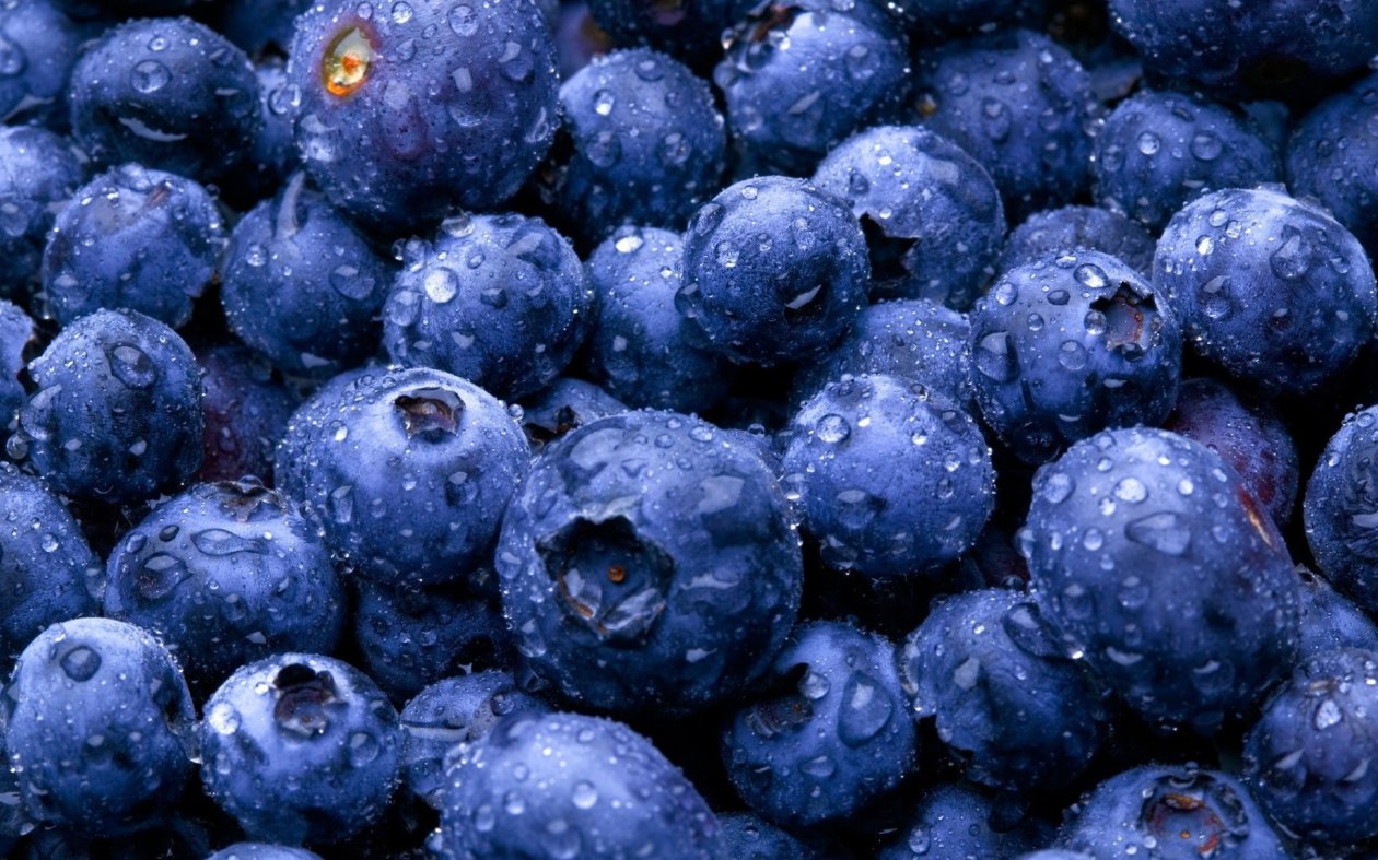 Fruits Bosbes