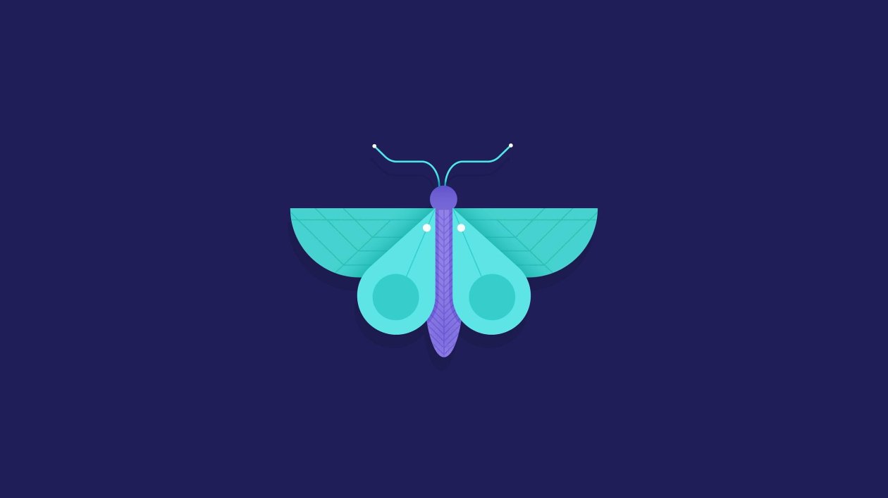 Butterfly Minimalism