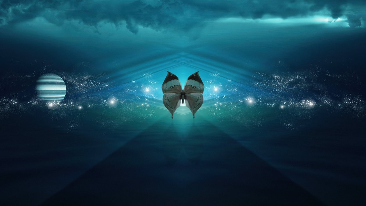 Butterfly Renaissance 4K