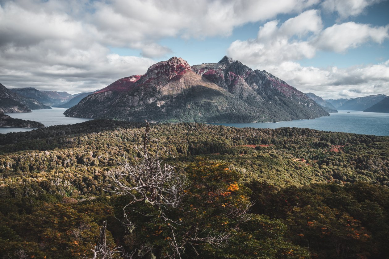 Aerial Photography Forest To The Lake And The Mountains 5k