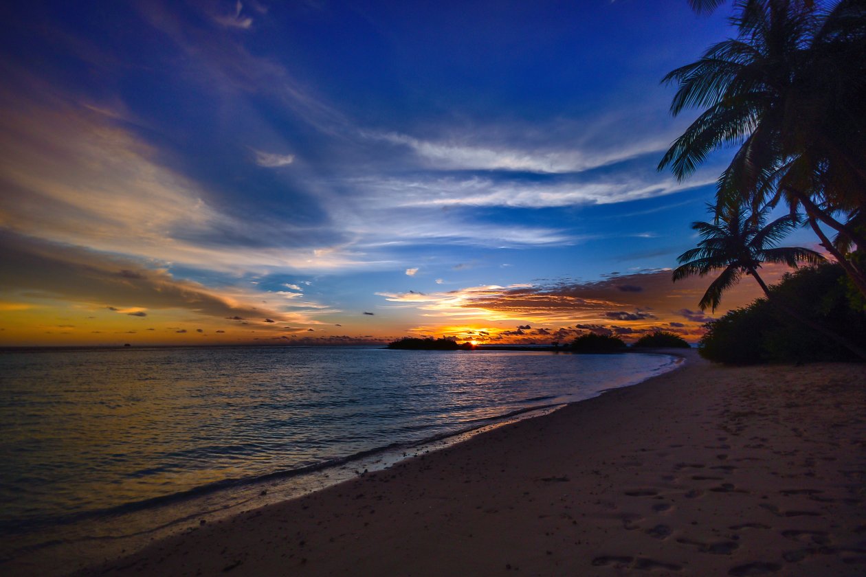 Beach Tree Sea Clouds 4k