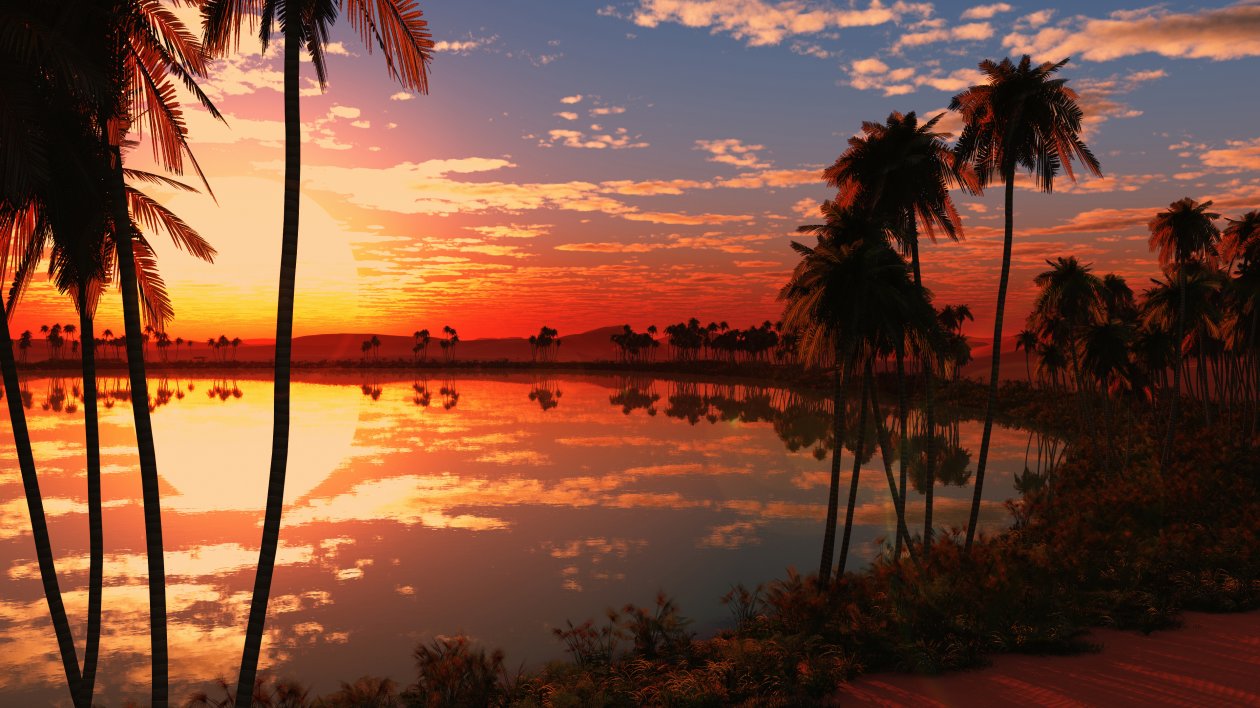 Lake Sunset 4k