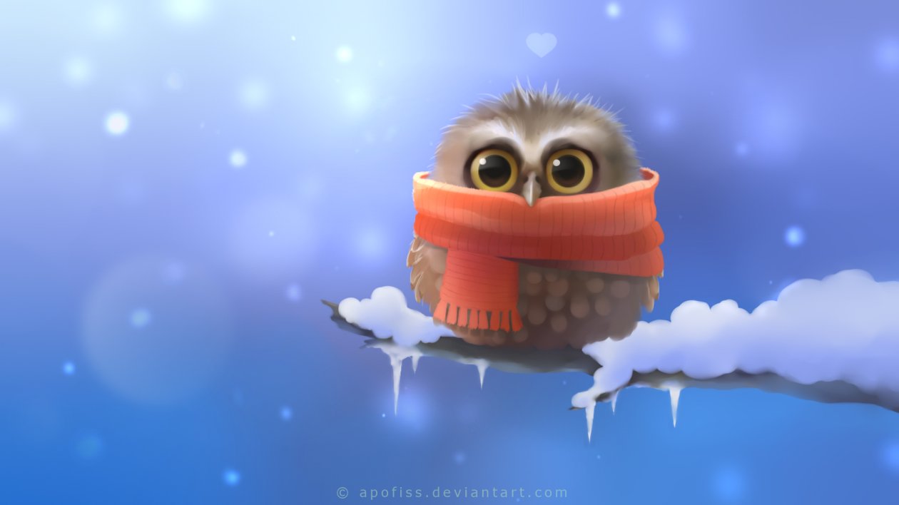 Cute Owl